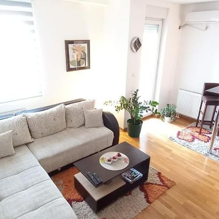Beautifull Apartment Nis Bagian luar foto