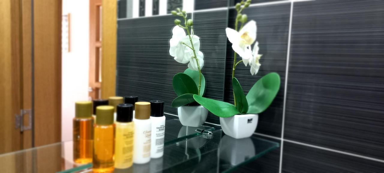 Beautifull Apartment Nis Bagian luar foto