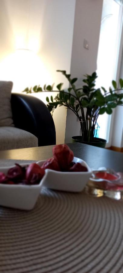 Beautifull Apartment Nis Bagian luar foto