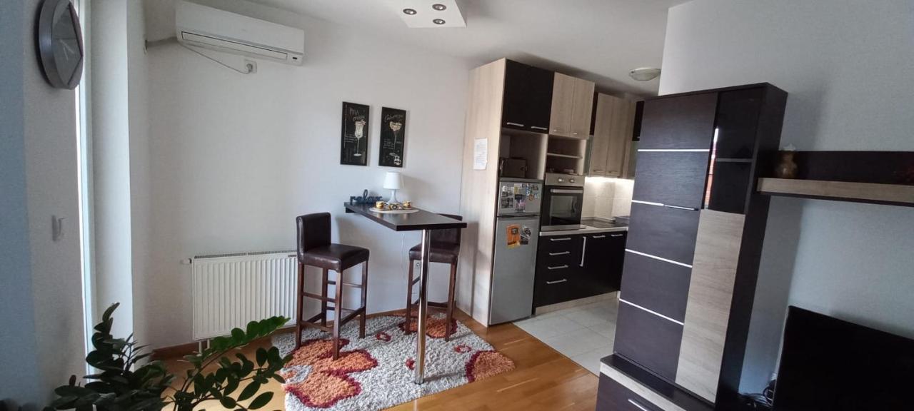 Beautifull Apartment Nis Bagian luar foto